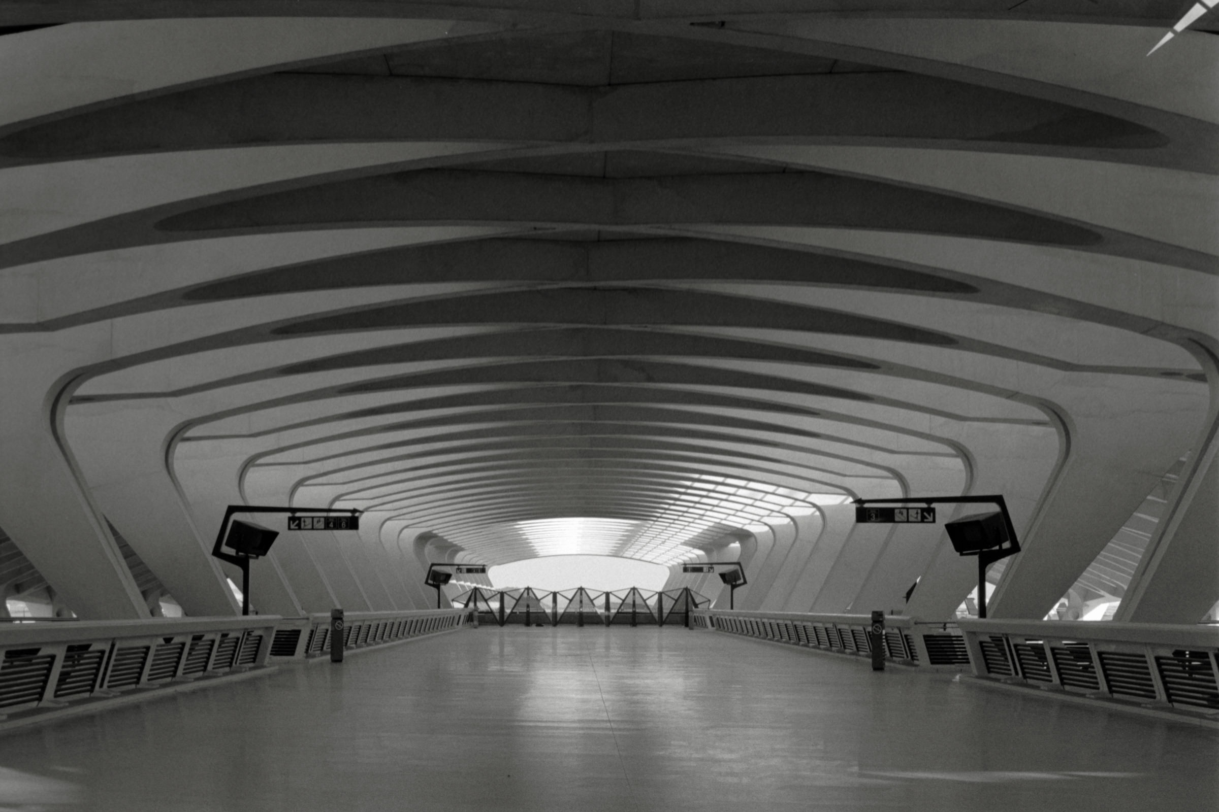 AHP F1995 10 004 sc240816 img22 NLP